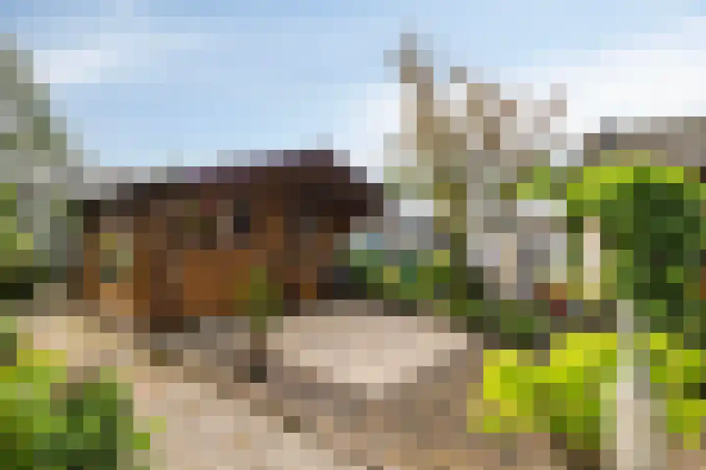 Drielindendreef 20 Breda thumbnail 30