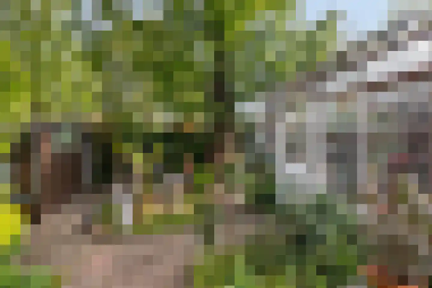 Drielindendreef 20 Breda thumbnail 31