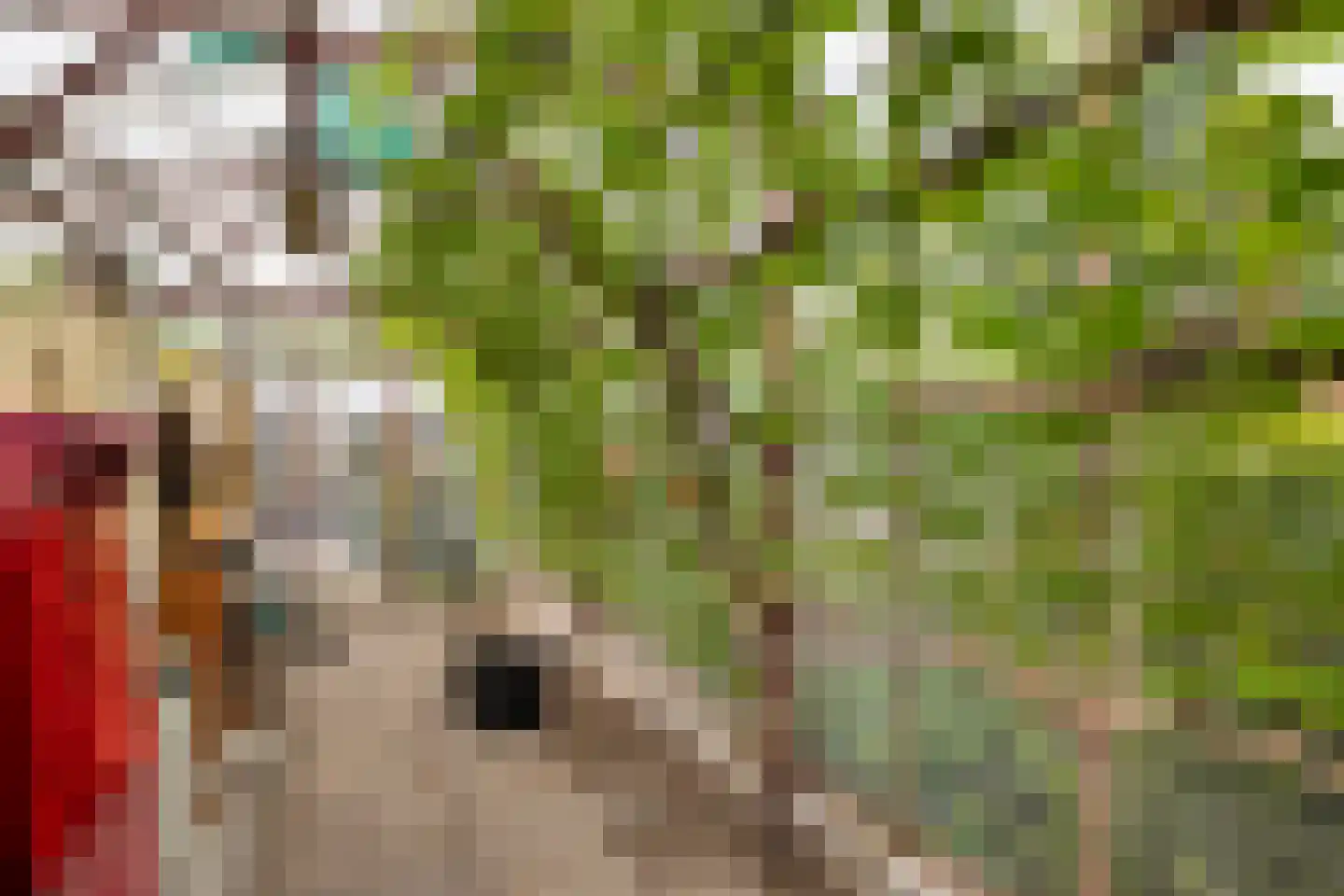 Drielindendreef 20 Breda thumbnail 32