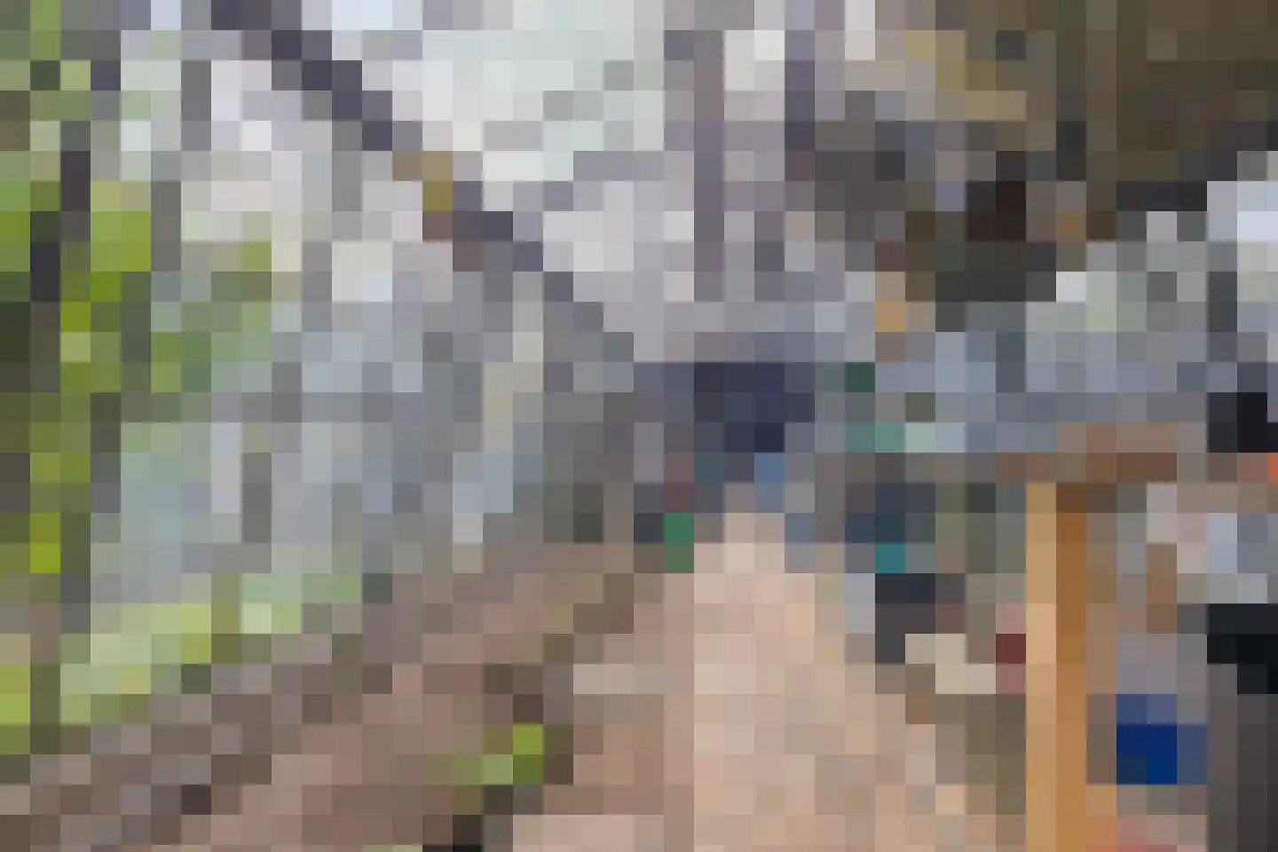 Drielindendreef 20 Breda thumbnail 33
