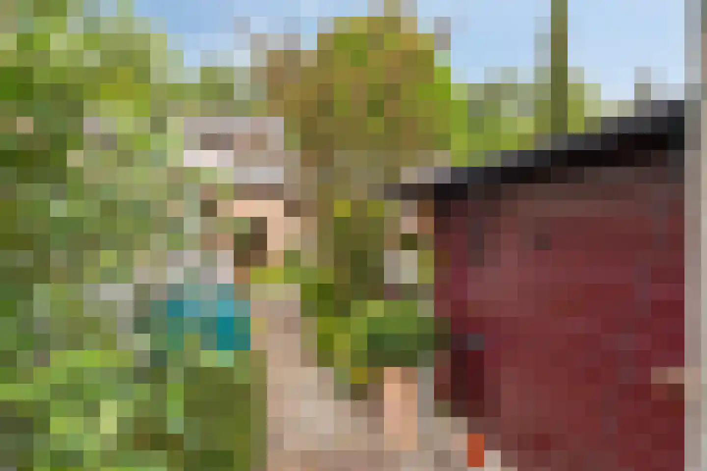 Drielindendreef 20 Breda thumbnail 34