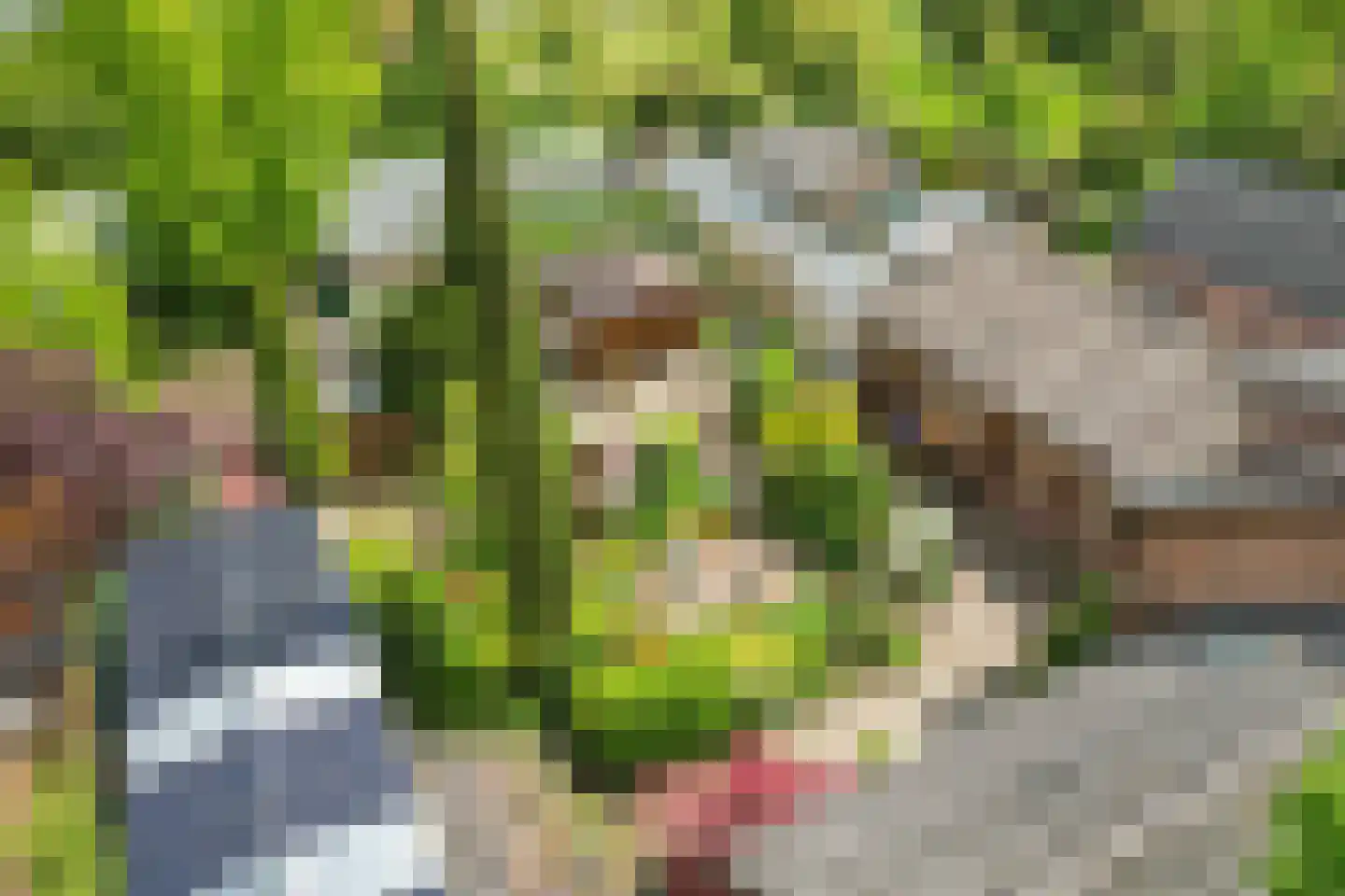 Drielindendreef 20 Breda thumbnail 39