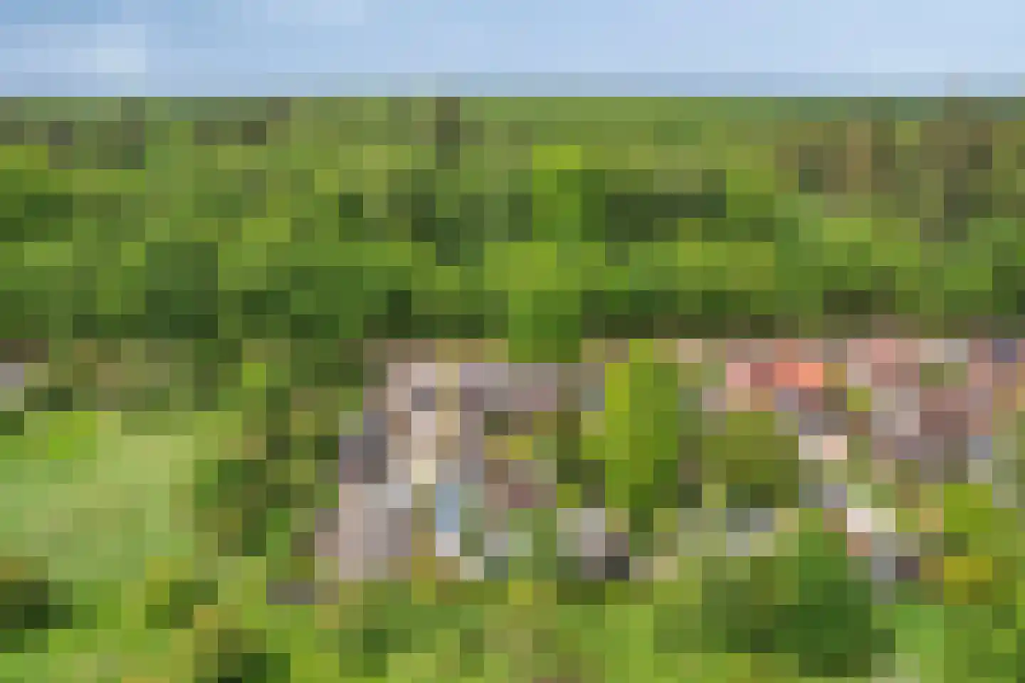 Drielindendreef 20 Breda thumbnail 4