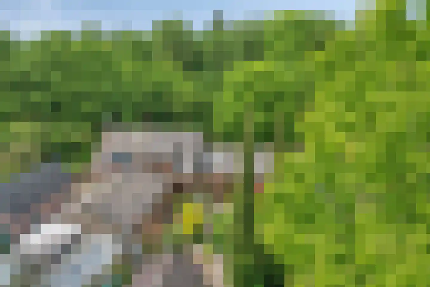Drielindendreef 20 Breda thumbnail 40