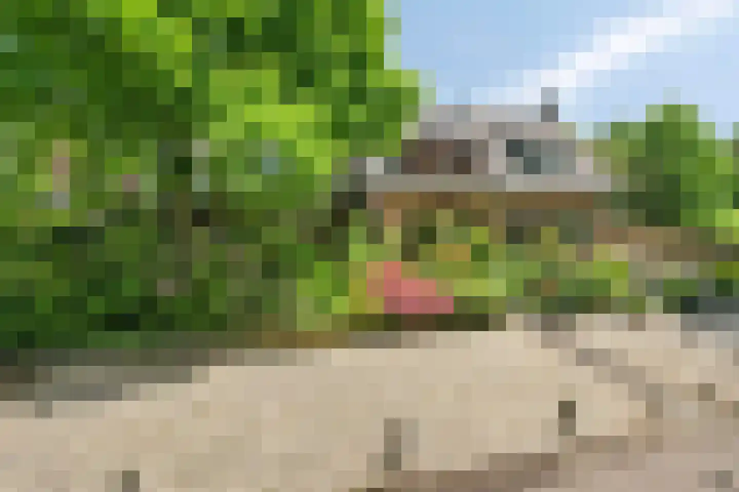 Drielindendreef 20 Breda thumbnail 43