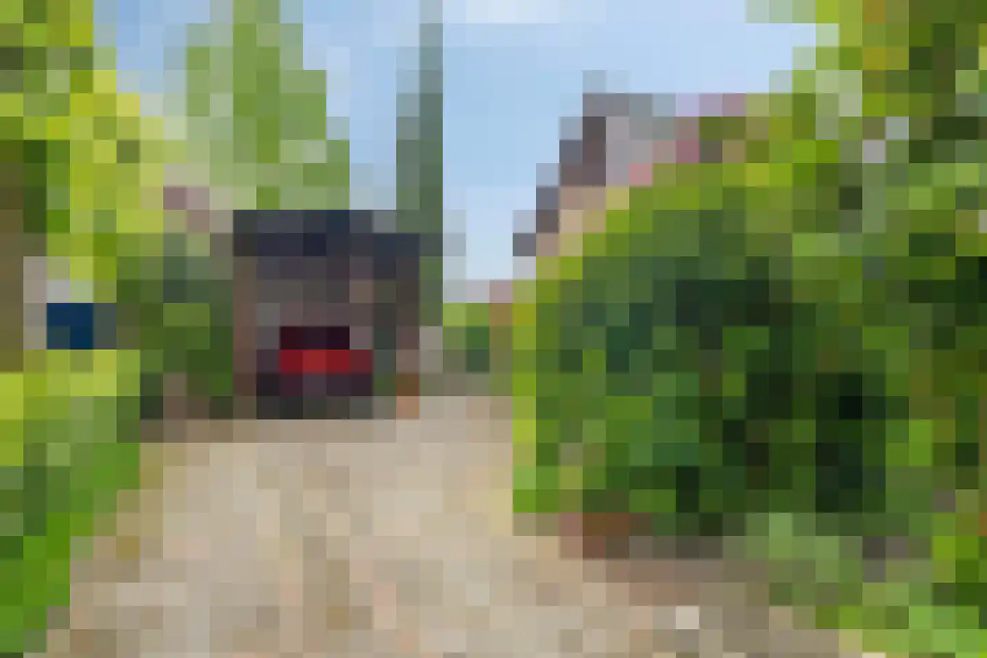 Drielindendreef 20 Breda thumbnail 44