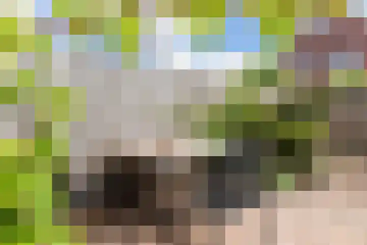 Drielingschouw 10 Reeuwijk thumbnail 20