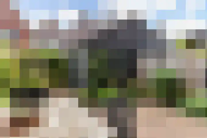 Drielingschouw 10 Reeuwijk thumbnail 21