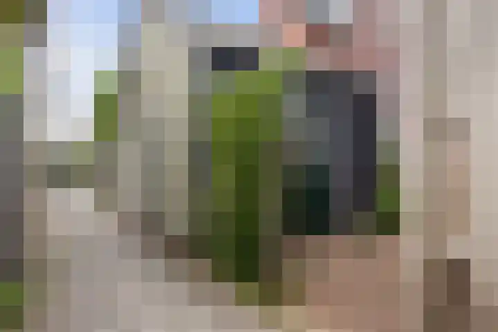 Drielingschouw 10 Reeuwijk thumbnail 22