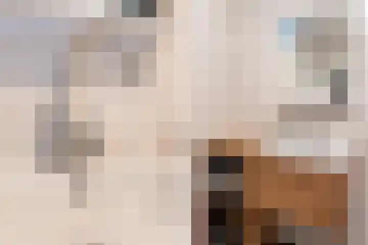 Drielingschouw 10 Reeuwijk thumbnail 31
