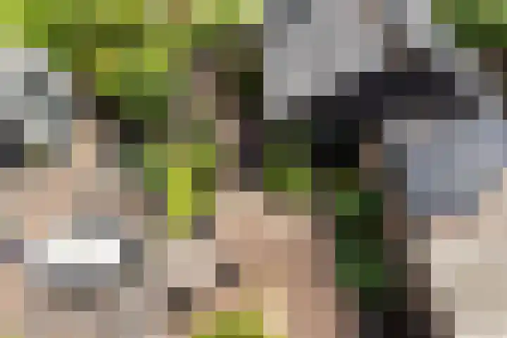 Drielingschouw 10 Reeuwijk thumbnail 38