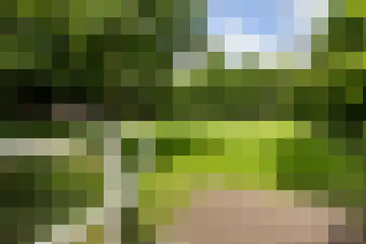 Drielingschouw 10 Reeuwijk thumbnail 41