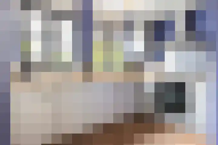 Drielingschouw 10 Reeuwijk thumbnail 8