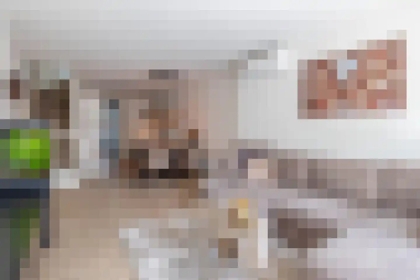 Drieloper 27 Nuenen thumbnail 19