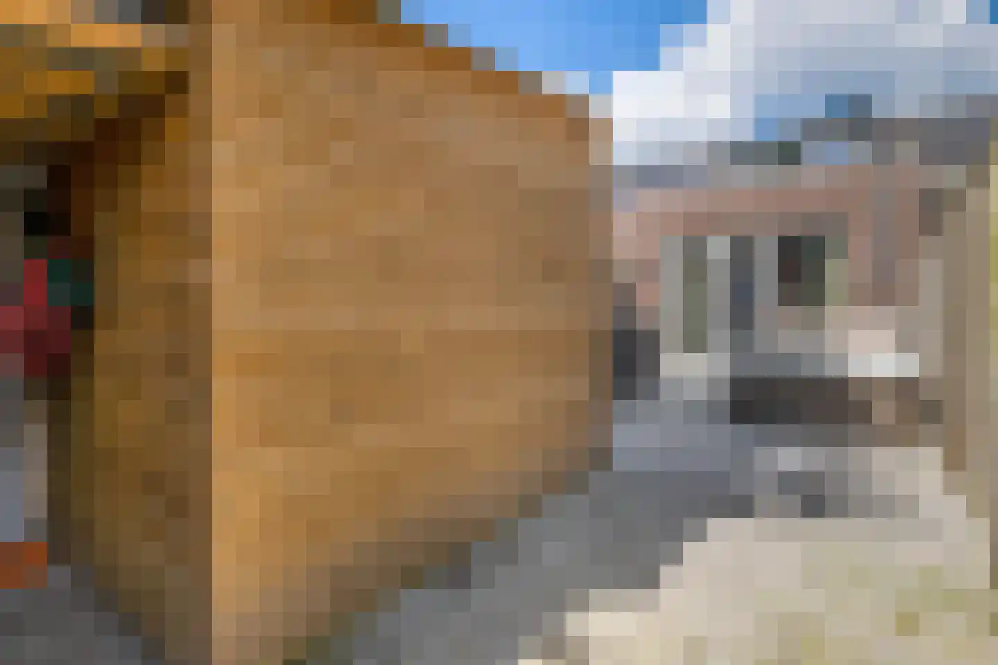 Drieloper 27 Nuenen thumbnail 29
