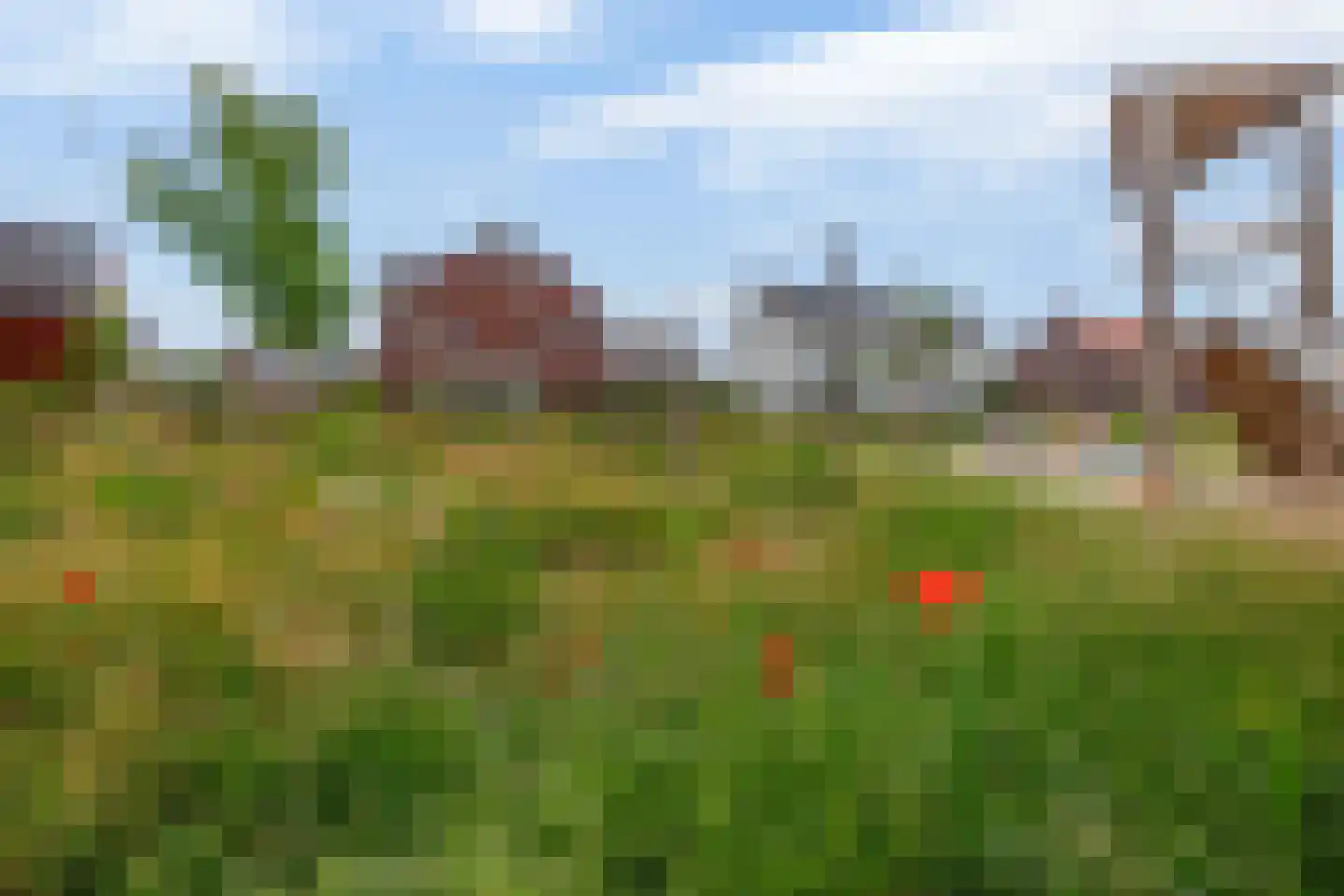 Drieloper 27 Nuenen thumbnail 41