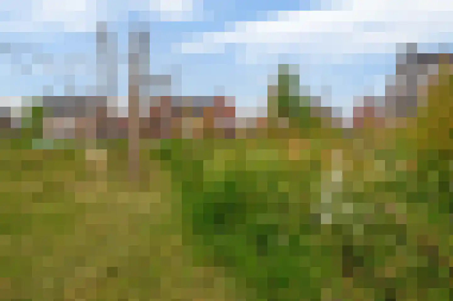 Drieloper 27 Nuenen thumbnail 42