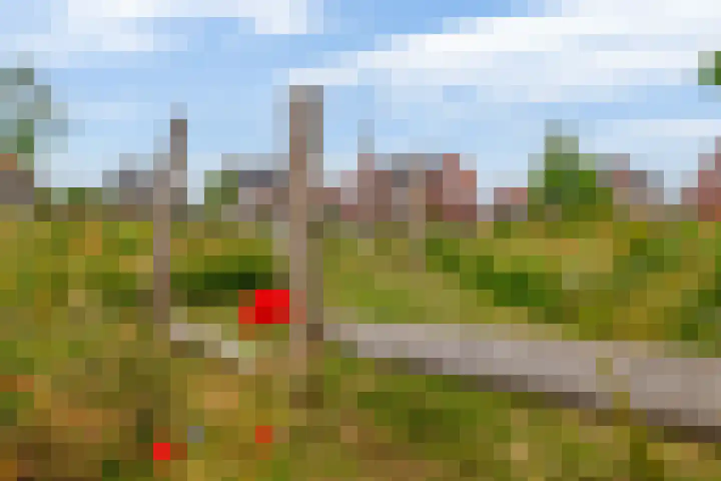 Drieloper 27 Nuenen thumbnail 43