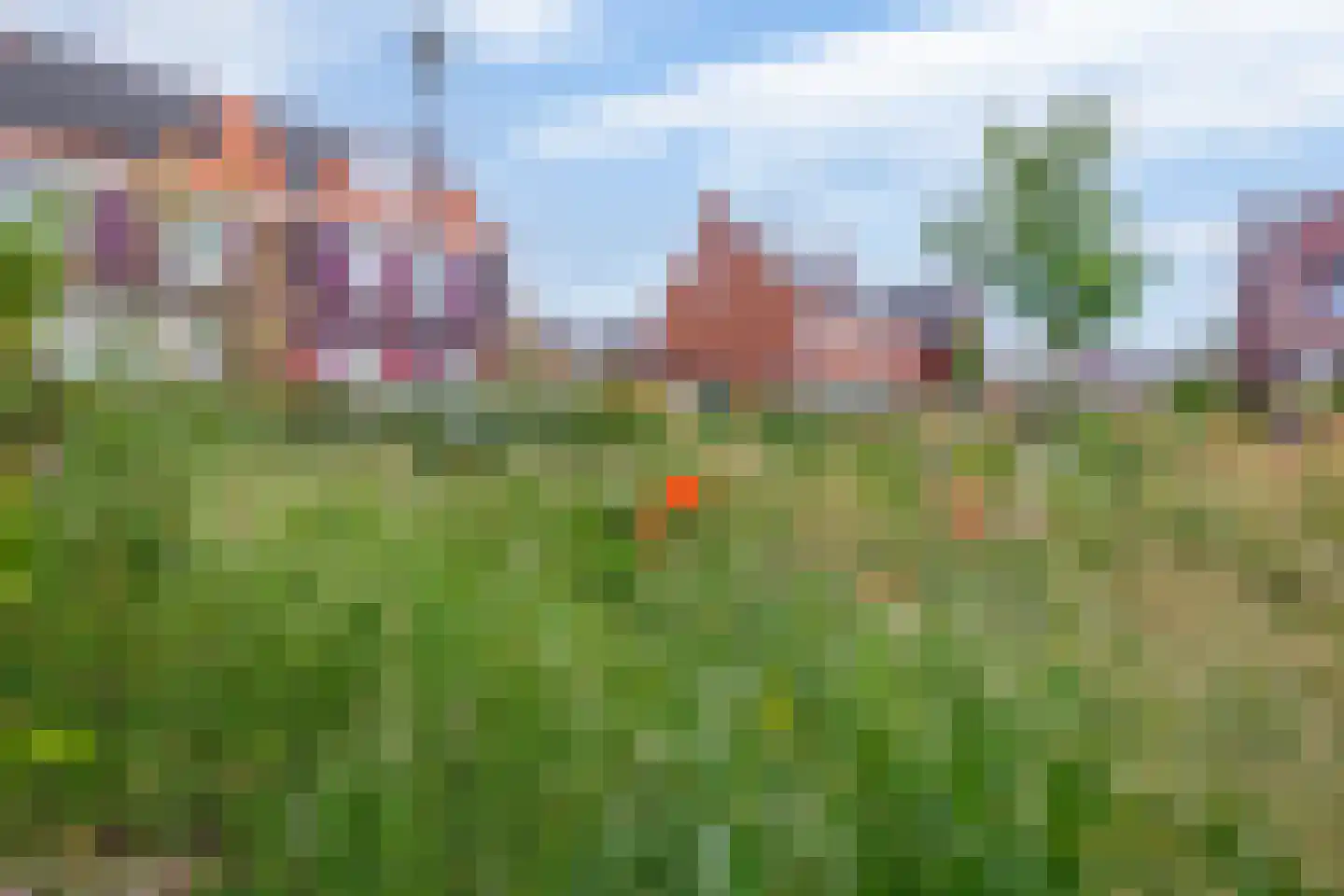Drieloper 27 Nuenen thumbnail 45