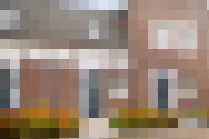 Drieloper 31 dans Nuenen