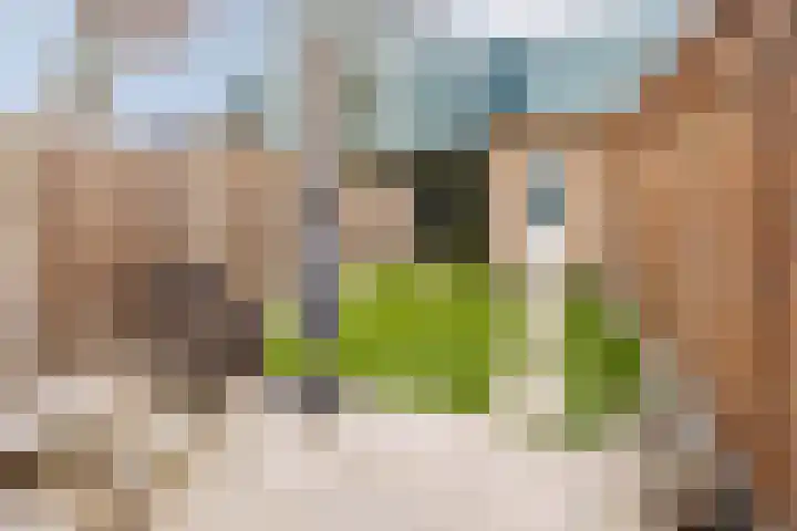 Drieloper 31 Nuenen thumbnail 21