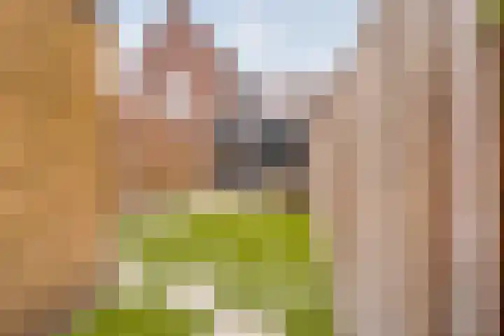Drieloper 31 Nuenen thumbnail 22