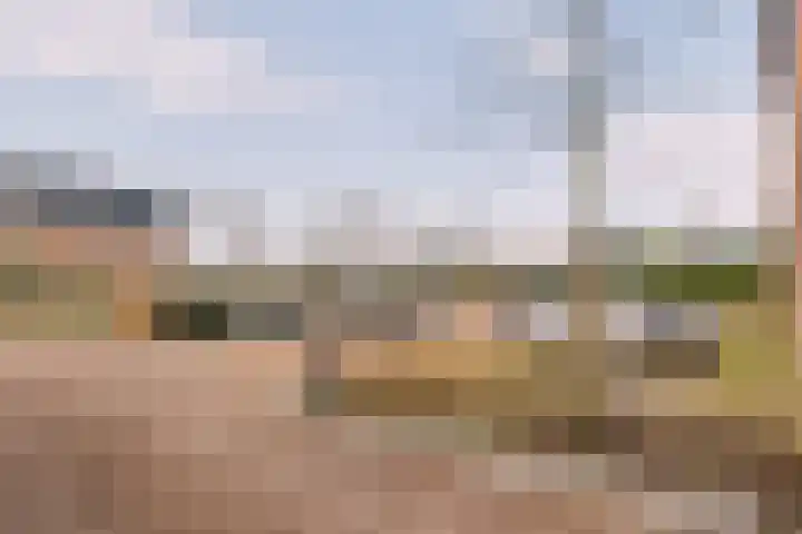 Drieloper 31 Nuenen thumbnail 25