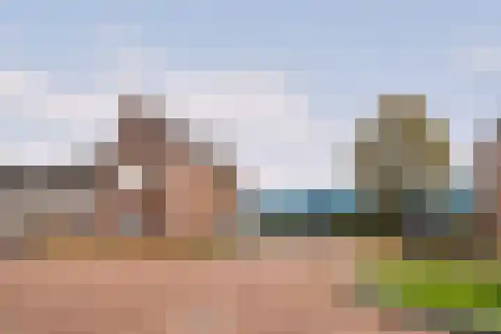 Drieloper 31 Nuenen thumbnail 26