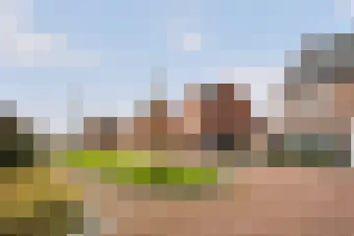 Drieloper 31 Nuenen thumbnail 27