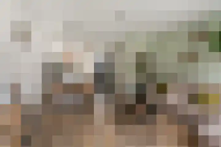 Drieloper 9 Nuenen thumbnail 13