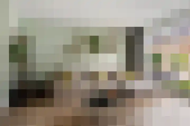 Drieloper 9 Nuenen foto 2