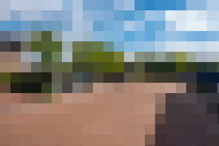 Drieloper 9 Nuenen thumbnail 38