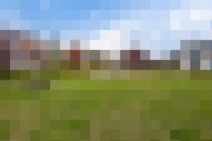 Drieloper 9 Nuenen thumbnail 42