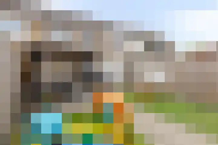 Drielse Rijndijk 3 Heteren thumbnail 129