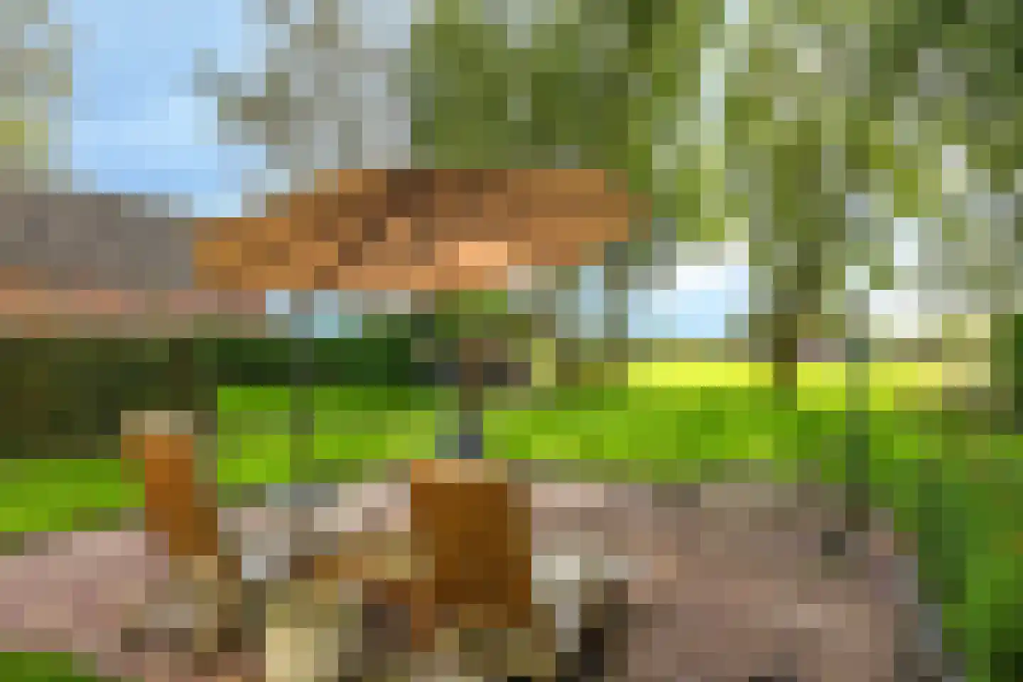 Drielse Rijndijk 3 Heteren thumbnail 13