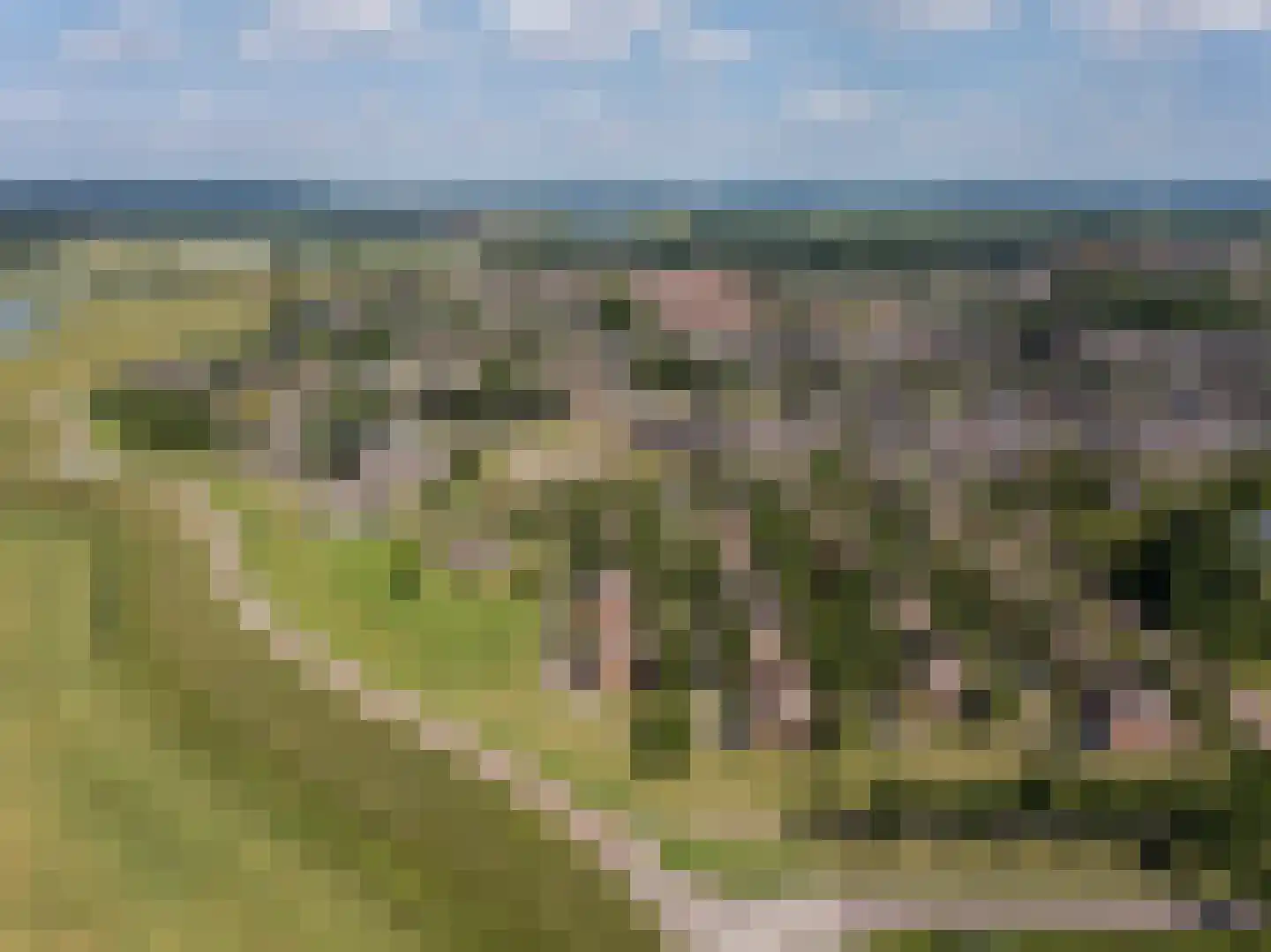 Drielse Rijndijk 3 Heteren thumbnail 134