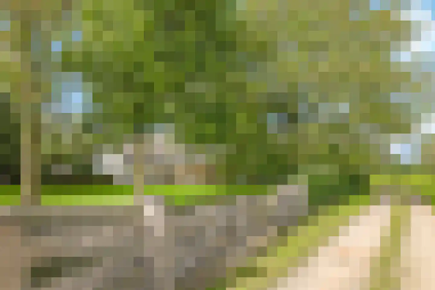 Drielse Rijndijk 3 Heteren thumbnail 16