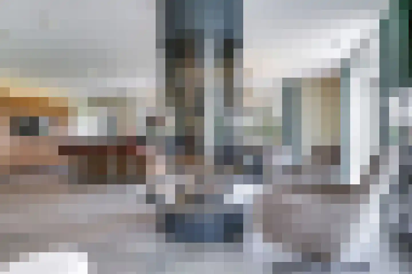 Drielse Rijndijk 3 Heteren thumbnail 26