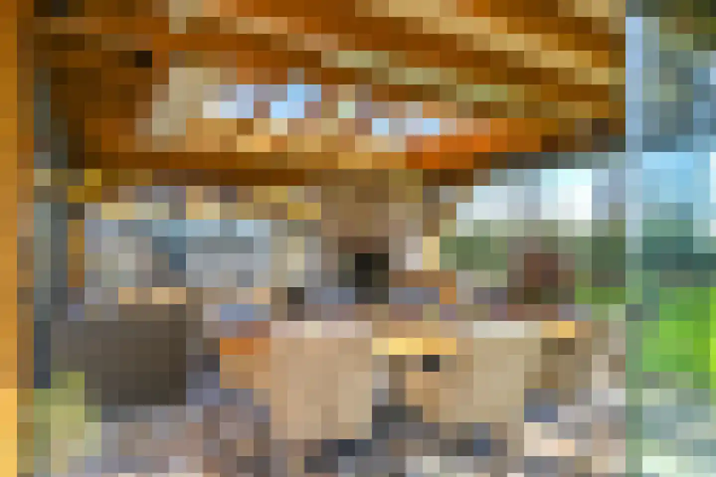 Drielse Rijndijk 3 Heteren foto 3