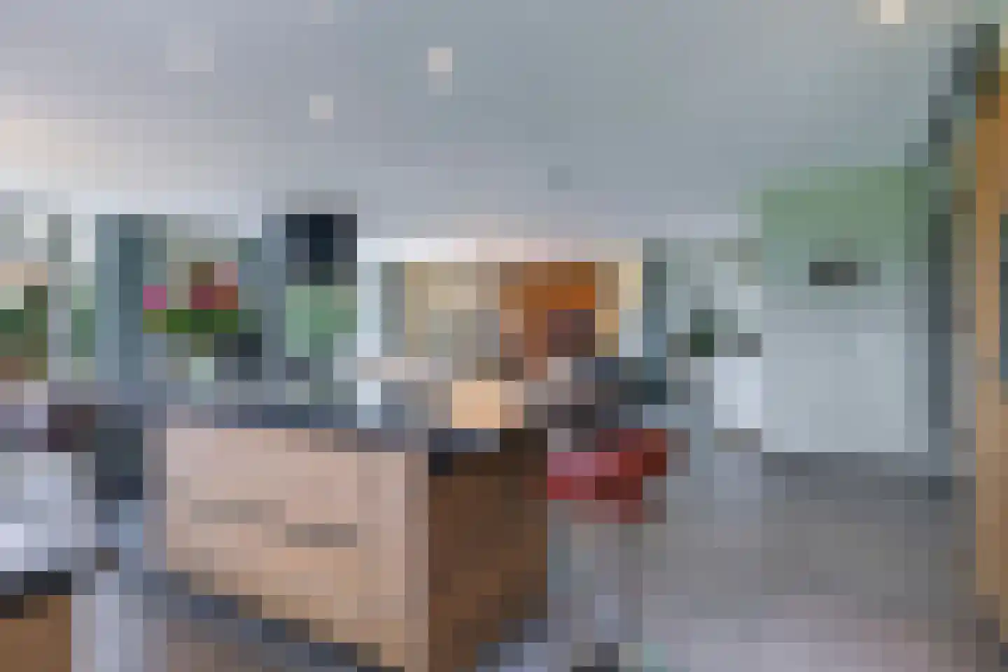 Drielse Rijndijk 3 Heteren thumbnail 36