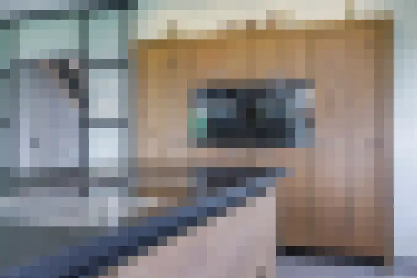 Drielse Rijndijk 3 Heteren thumbnail 37