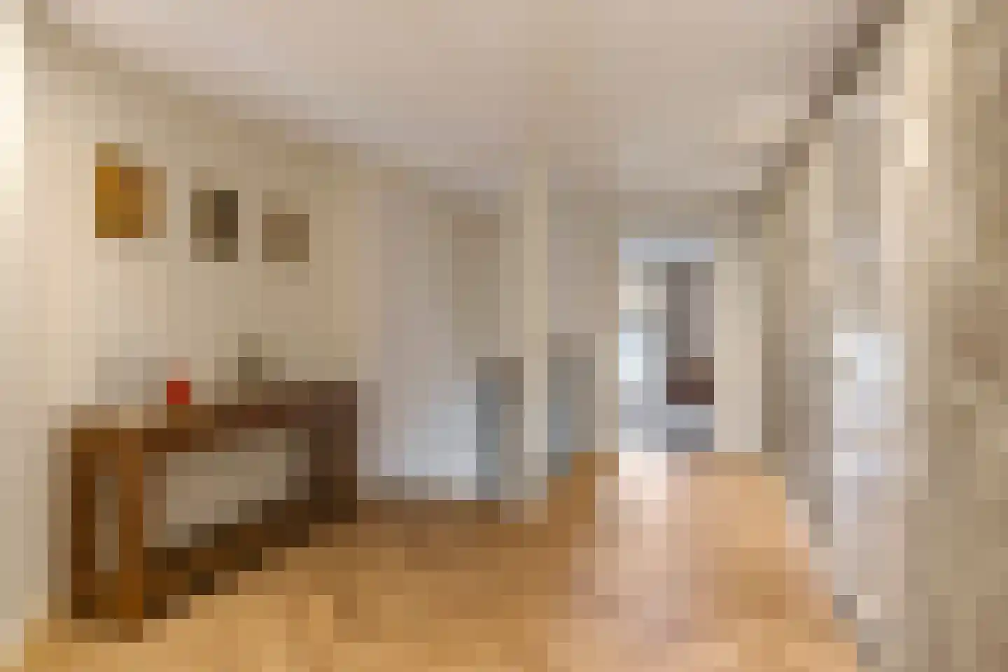 Drielse Rijndijk 3 Heteren thumbnail 54