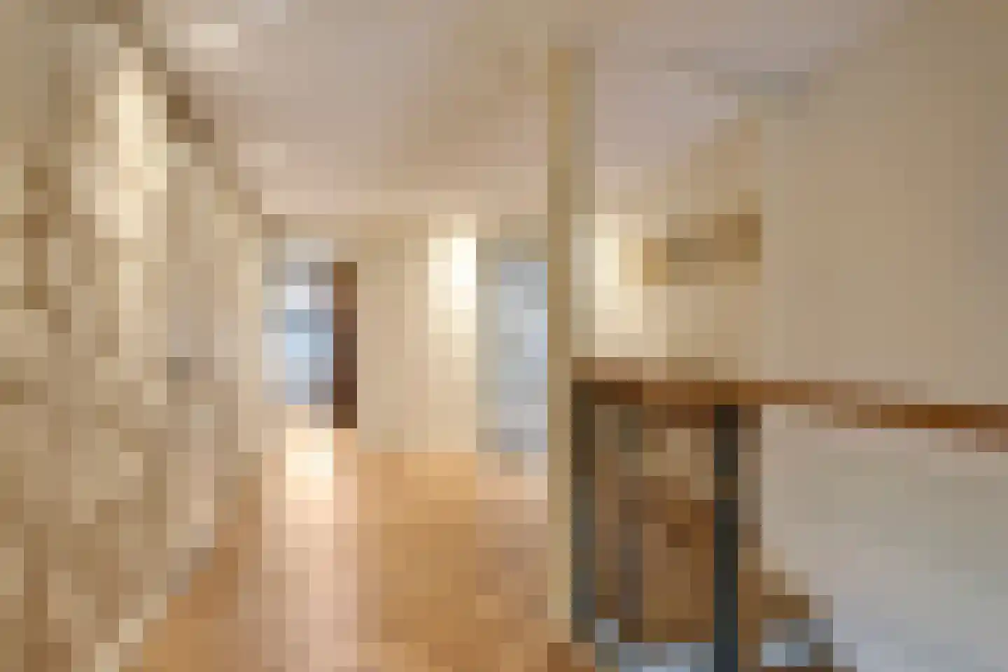 Drielse Rijndijk 3 Heteren thumbnail 58