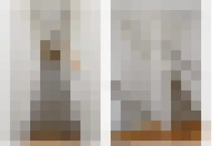 Drielse Rijndijk 3 Heteren thumbnail 64