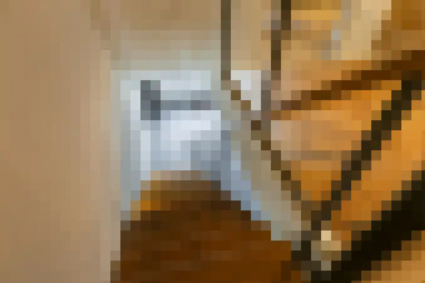 Drielse Rijndijk 3 Heteren thumbnail 66