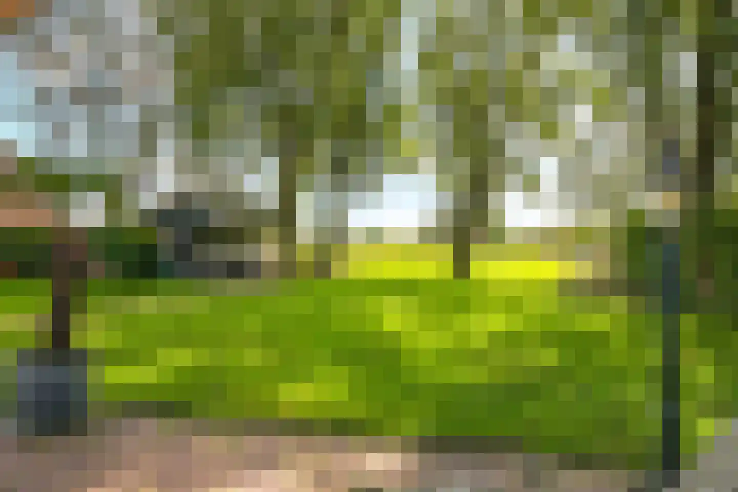 Drielse Rijndijk 3 Heteren thumbnail 71