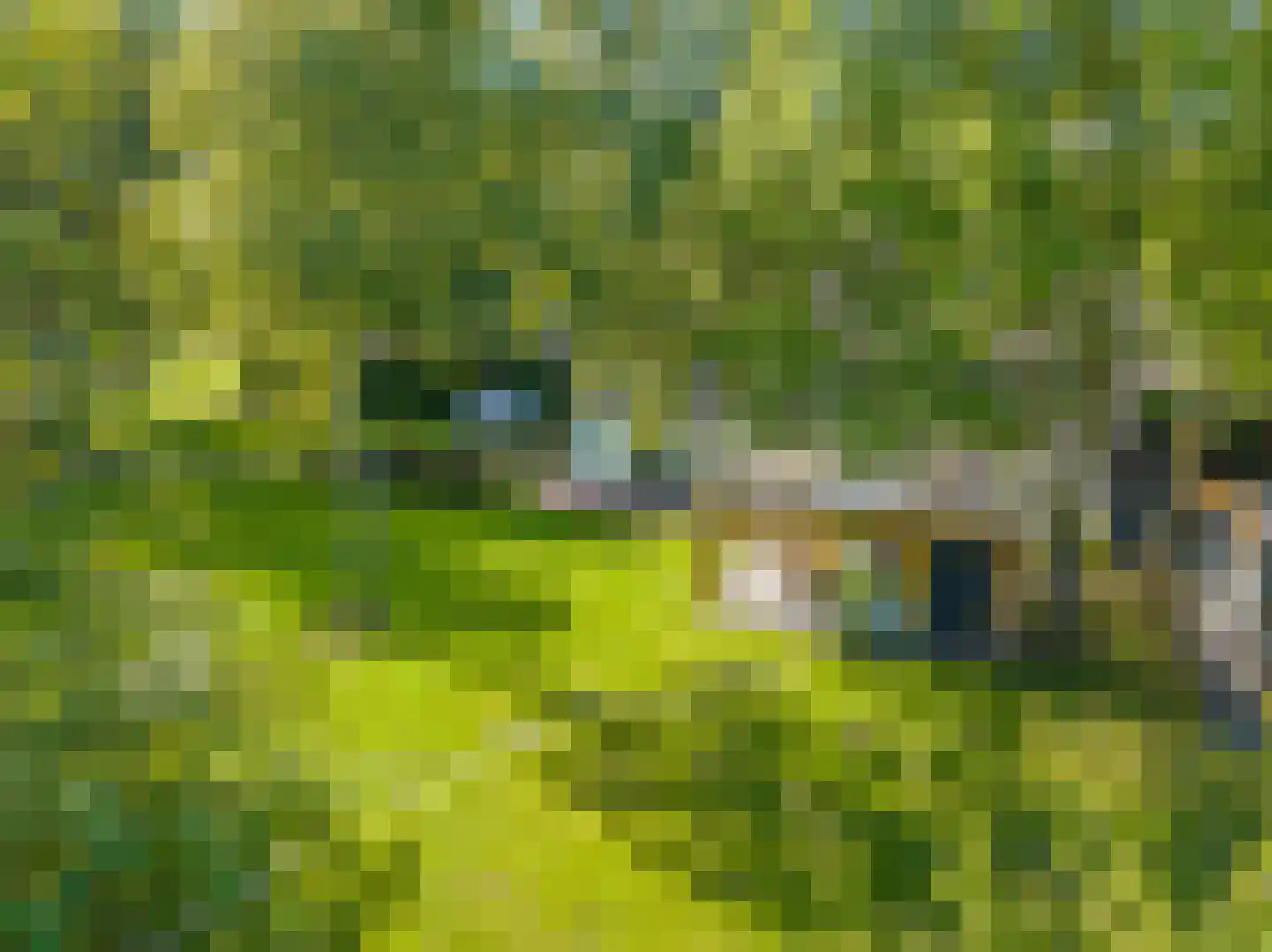 Drielse Rijndijk 3 Heteren thumbnail 77