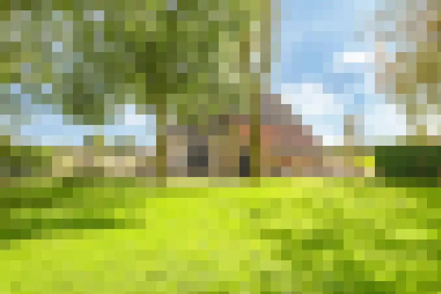 Drielse Rijndijk 3 Heteren thumbnail 85