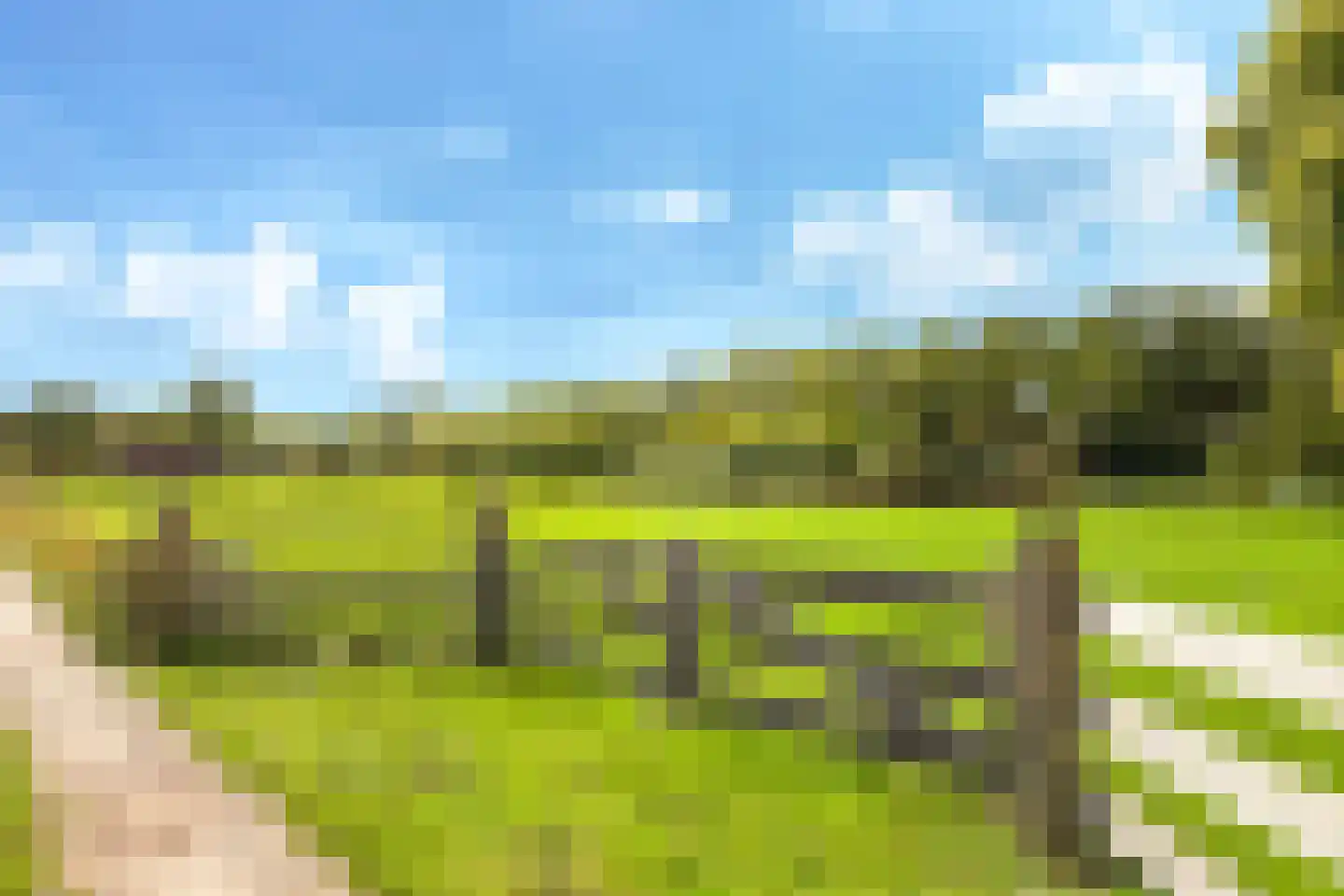 Drielse Rijndijk 3 Heteren thumbnail 90
