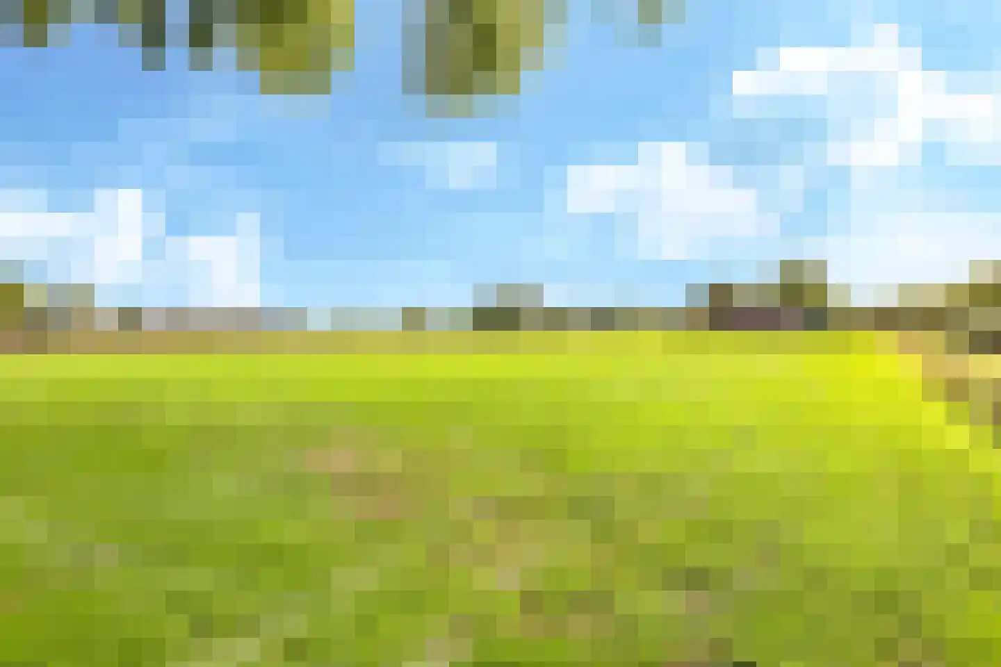 Drielse Rijndijk 3 Heteren thumbnail 92